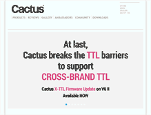 Tablet Screenshot of cactus-image.com